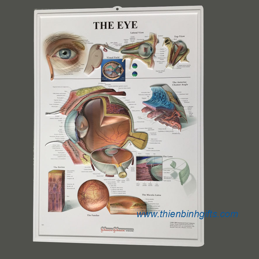 Poster 3D EYE